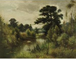 Pond