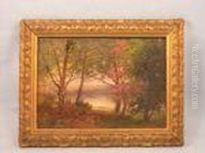 Summer Woodlandlandscape