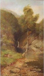 Catskill Stream