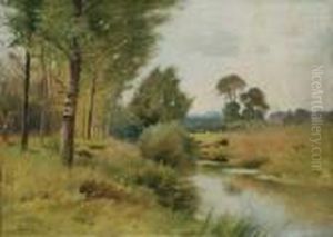 Summer Landscape
