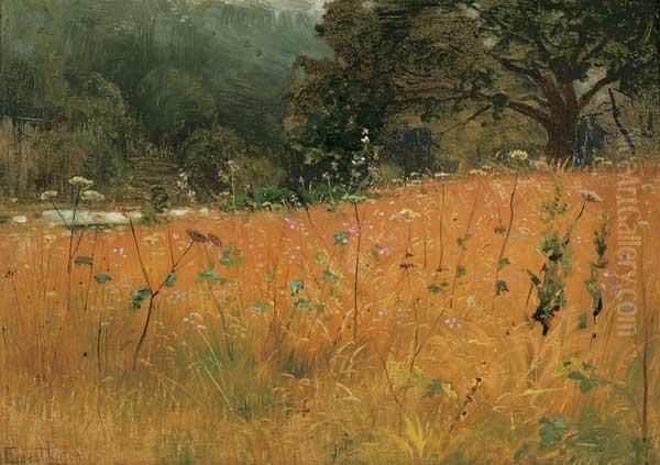 Field Of Wildflowers - view 1