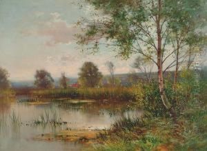 The Backwater