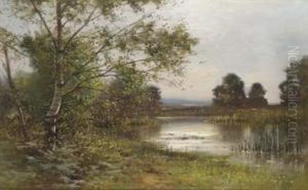 Cattle Watering In A Sunlit Lake - view 1