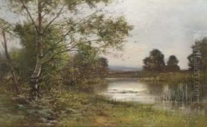 Cattle Watering In A Sunlit Lake