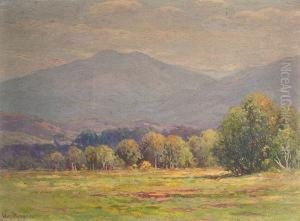 Ossipee Mountain Meadow