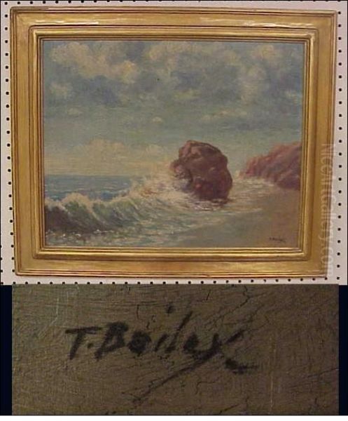 Seascape With Surf Breaking On Rocky Shoreline - view 1