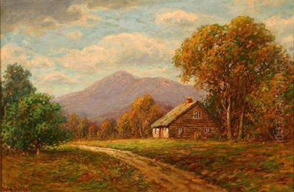 New England Mountain Landscape With Log Cabin - view 1