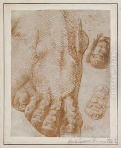 Studies Of A Foot by Bartolomeo Passarotti