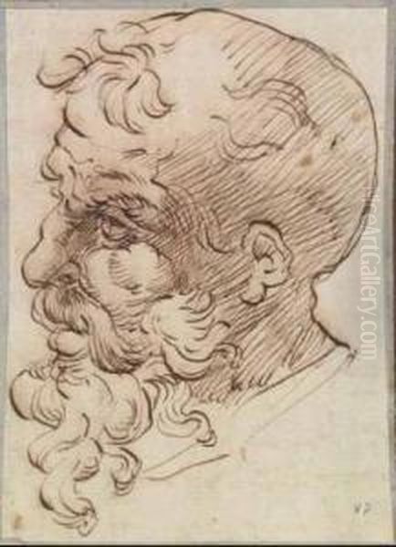 Testa Virile - view 1