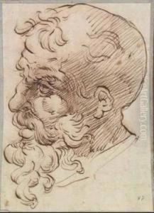 Testa Virile by Bartolomeo Passarotti