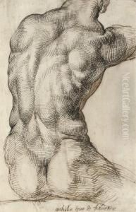 A Nude Torso Seen From Behind, After The Apollo Belvedere