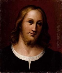Testa Di Giovane Uomo by Bartolomeo Passarotti