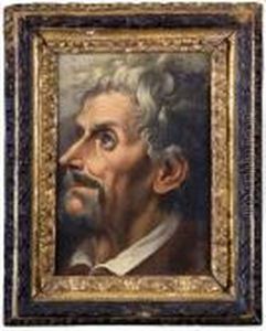 Profilo Di Uomo