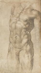 A Nude Male Torso by Bartolomeo Passarotti