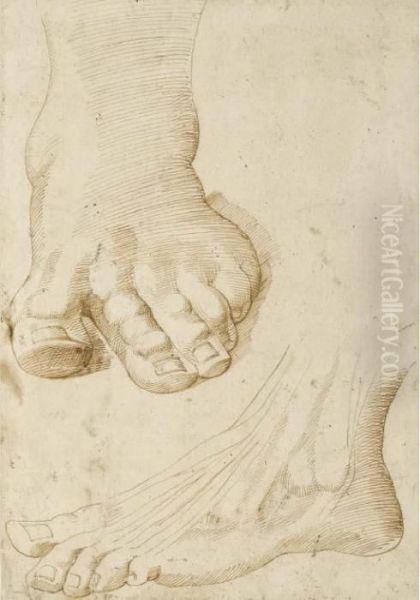 Deux Etudes De Pieds Gauche - view 1