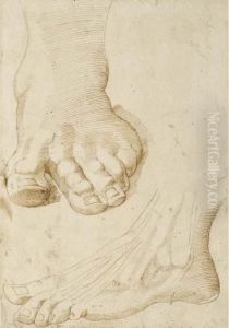 Deux Etudes De Pieds Gauche by Bartolomeo Passarotti