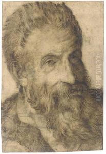Portrait Of A Bearded Man Looking To The Right, Said To Bepellegrino Tibaldi - view 1