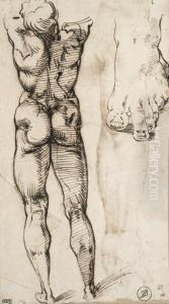 A Nude Seen From Behind And A 
Study Of A Foot (recto); Two Studiesof Arms And A Head (verso) - view 1