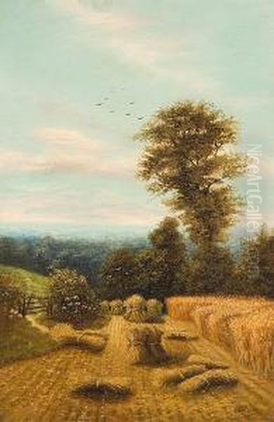 Rural Landscape With Sheaves Of Corn - view 1