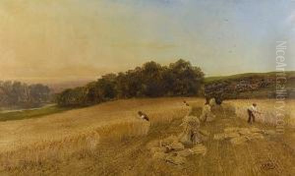 Harvesters - view 1