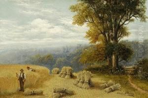 A Cornfield, Shere, Surrey
