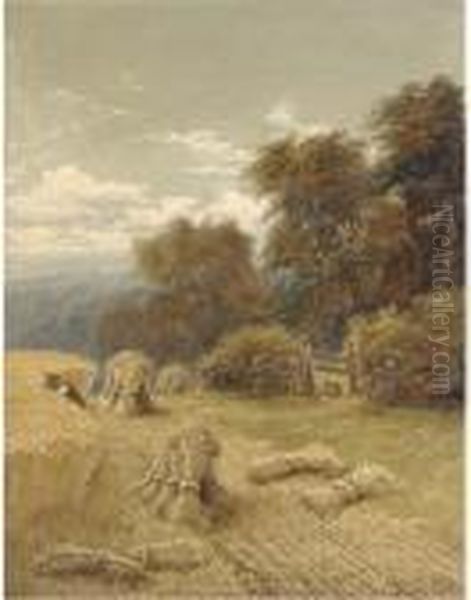 Harvesting - view 1