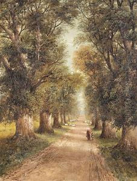 A Forest Lane - view 1