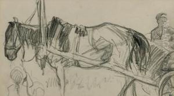 Study Of A Carthorse - view 1