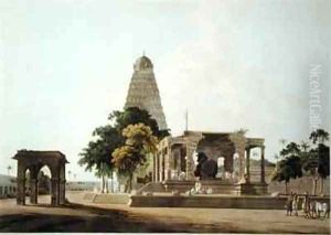 The Great Bull An Hindoo Idol At Tanjore by Thomas Daniell
