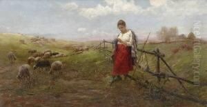 Strickende Hirtin Mit
Schafherde. Strickende Hirtin Mit
Schafherde.