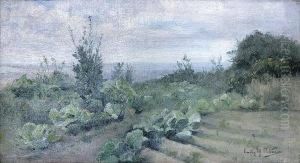 The Kailyard by Emily Murray Paterson