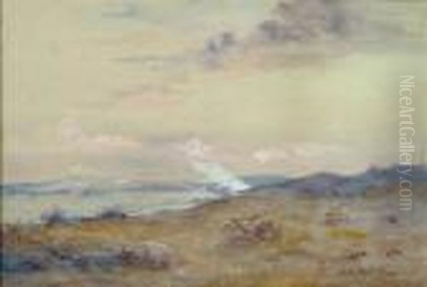 Sand Dunes - view 1