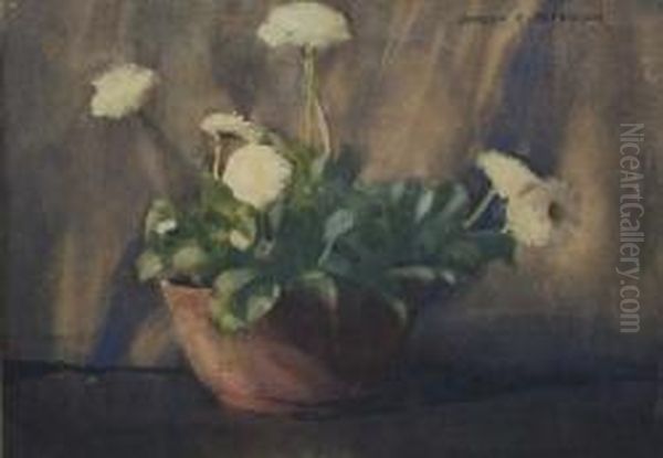 Still Life Of White Flowers - view 1