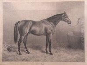 Portrait Of A Racehorse In A Stable by Frank Paton