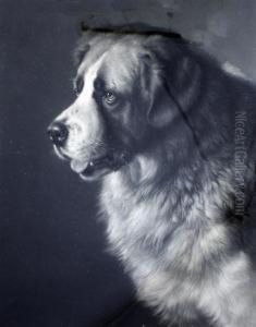 St Bernard &amp; A Rough Collie 1886/1888