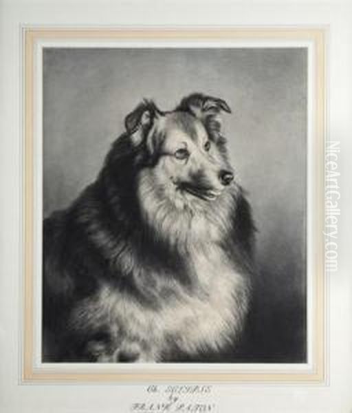 Ch. Eclipse (a Sable And White Rough Collie) - view 1