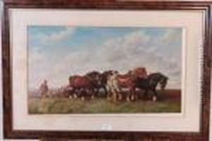 Four Shire Horses