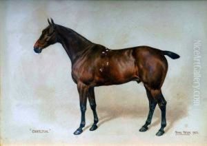 Study Of The Horse - Charlton by Frank Paton