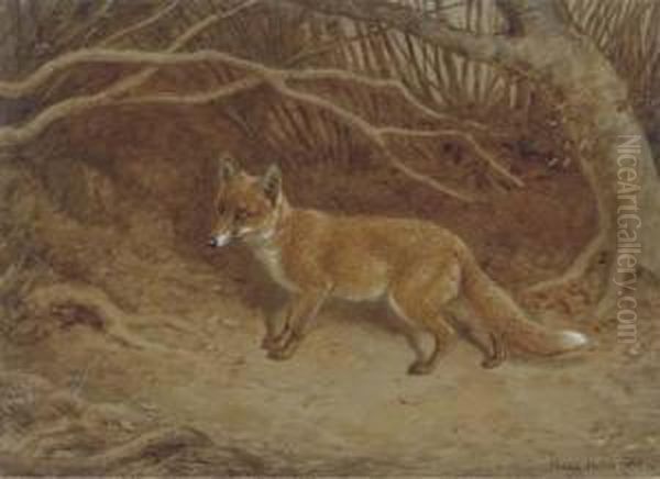 The Wily Fox - view 1