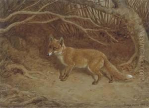 The Wily Fox by Frank Paton