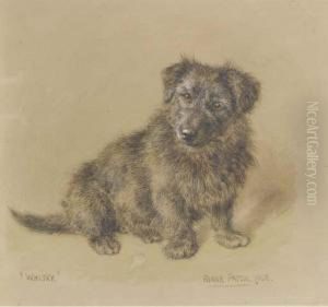 Whisky A Terrier