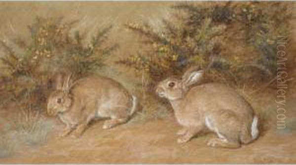 Two Rabbits - view 1