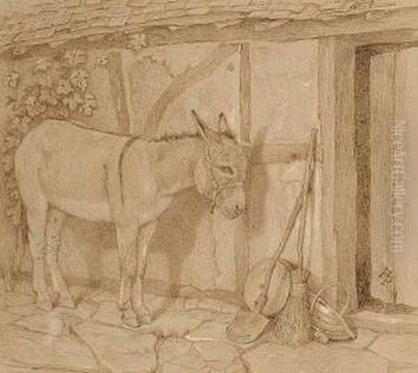Tethered Donkey - view 1