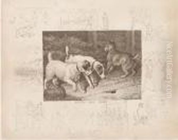 Rough And Ready; Coming Events
Cast Their Shadows Before; Notice Toquit; The Good Old Days; British
Interests; Out Of The Hunt; Theordeal By Fire; Our Grandfathers Hobbies - view 1