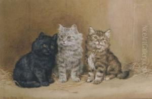 Three Kittens In A Barn