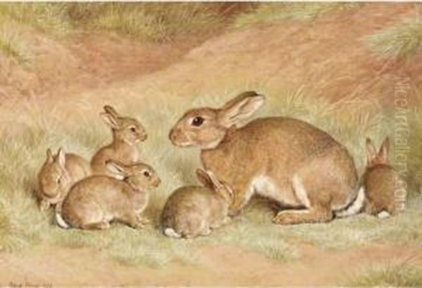 A Rabbit With Her Young - view 1