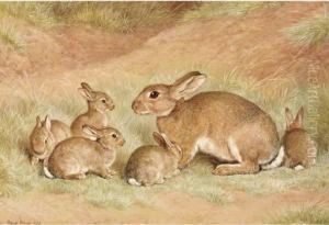 A Rabbit With Her Young by Frank Paton