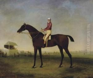 Portrait Of A Jockey On His Horse