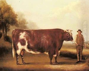 A Dark Roan Bull by William Davis