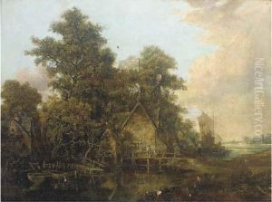 Spreading Oaks